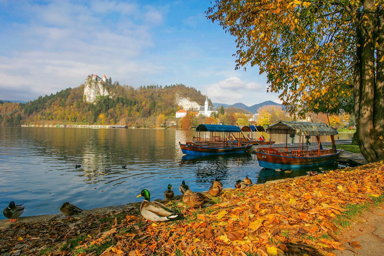 Goldenfields Apartment Kranj Zewnętrze zdjęcie