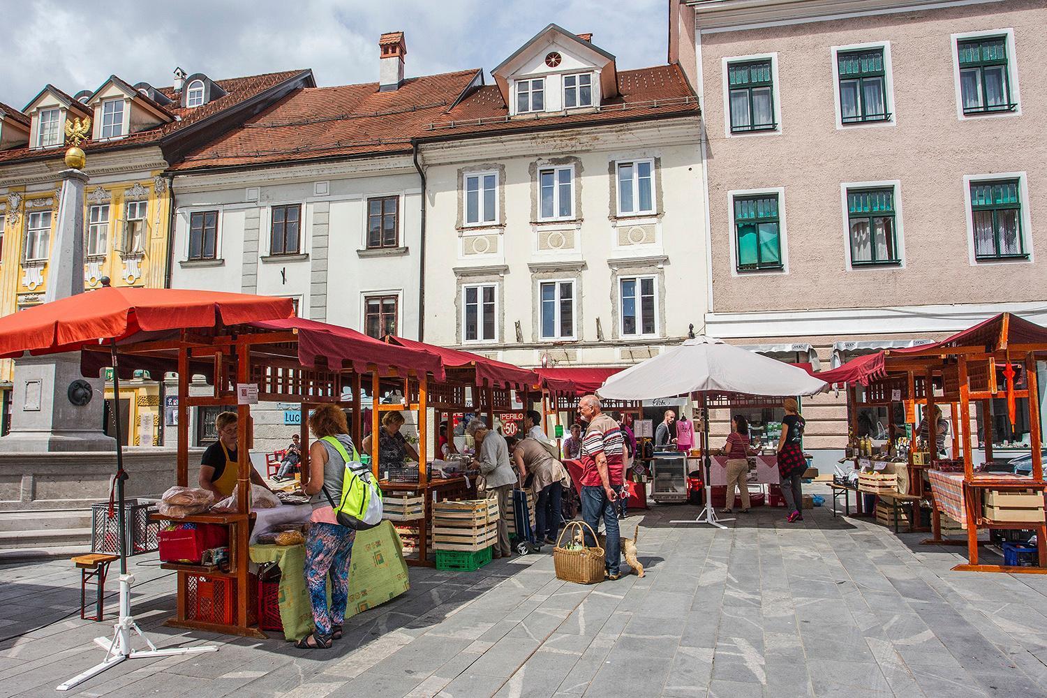 Goldenfields Apartment Kranj Zewnętrze zdjęcie